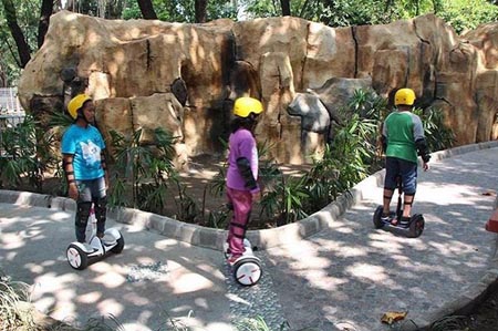 Obyek Wisata Kebun Binatang Gembira Loka Yogyakarta